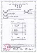 Test Report GDAA